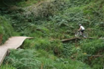 Ballyhoura Bike Trails